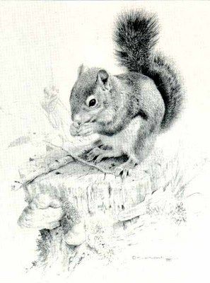 CARL BRENDERS 13X10 Secondary Market Art: "SQUIRRELS DISH"