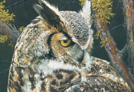 CARL BRENDERS 14X20 Secondary Market Art: "EYE OF THE BEHOLDER AP"
