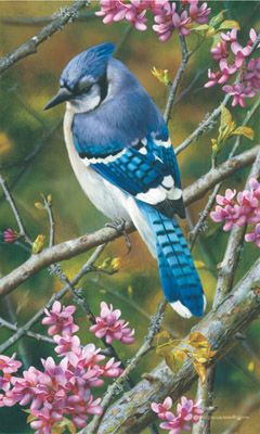 CARL BRENDERS 14X9 Secondary Market Art: "FLASH OF SAPPHIRE"