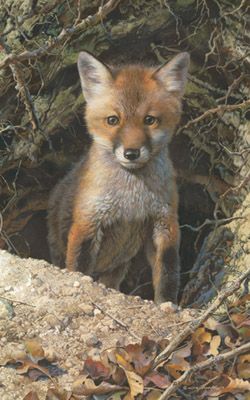 CARL BRENDERS 14X9 Secondary Market Art: "JUST SHY OF SLY AP"