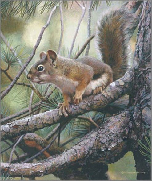 CARL BRENDERS 16X13 Secondary Market Art: "SOCIAL CLIMBER APGCNV"