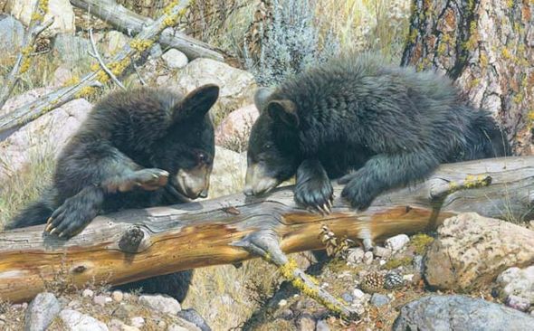 CARL BRENDERS 17X28 Secondary Market Art: "DOUBLE DARE BEAR AP"