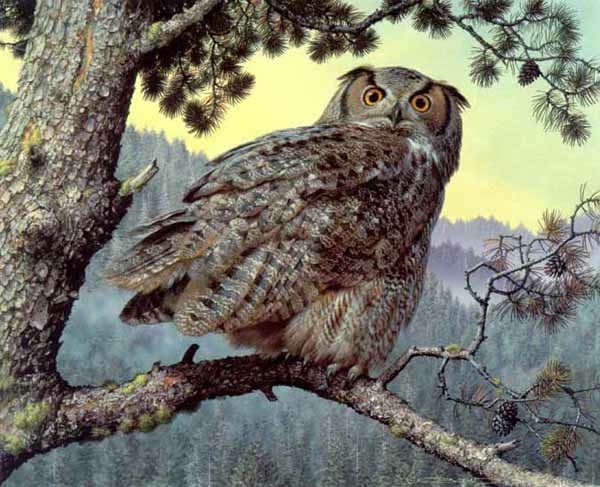 CARL BRENDERS 20X16 Secondary Market Art: "SILENT HUNTER OWL"