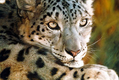 CARL BRENDERS 20X29 Secondary Market Art: "WEST OF MOON"