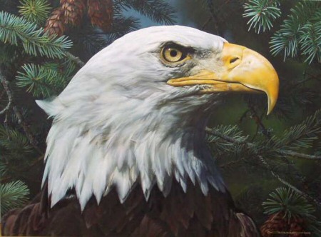 CARL BRENDERS 21X28 Secondary Market Art: "FIR & FEATHERS"