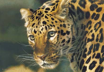 CARL BRENDERS 21X30 Secondary Market Art: "EAST OF THE SUN CNV"