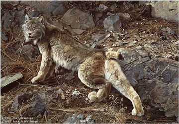 CARL BRENDERS 21X30 Secondary Market Art: "IN NORTHERN HUNTING GR"