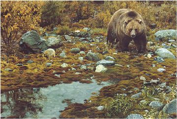 CARL BRENDERS 21X31 Secondary Market Art: "TRAILBLAZER GRIZZLY AP"