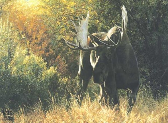 CARL BRENDERS 24X36 Secondary Market Art: "SUDDEN ENCOUNTER"