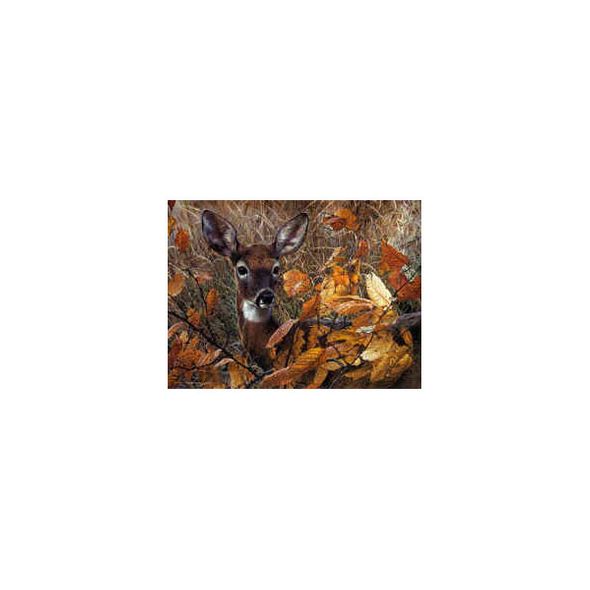 CARL BRENDERS 26X35 Secondary Market Art: "AUTUMN LADY"