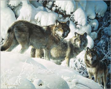 CARL BRENDERS 27X33 Secondary Market Art: "LONG DISTANCE HUN GCNV"