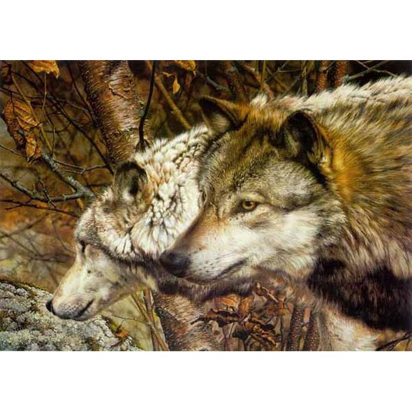 CARL BRENDERS 28X20 Secondary Market Art: "COMPANIONS APGCNV"