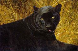 CARL BRENDERS 29X19 Secondary Market Art: "BLACK SPHINX AP"
