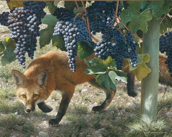 CARL BRENDERS 29X23 Secondary Market Art: "BETWEEN VINES FOX AP"