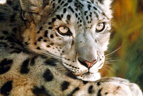 CARL BRENDERS 30x21 Secondary Market Art: "WEST OF MOON GCNV"