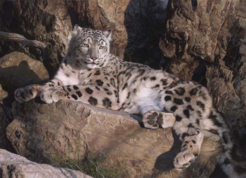 CARL BRENDERS 31X23 Secondary Market Art: "GHOST CAT LEOPARD AP"