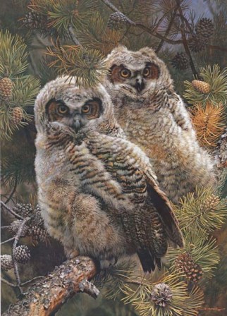 CARL BRENDERS 32X23 Secondary Market Art: "HIDDEN IN PINES GCNV"