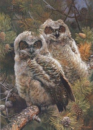 CARL BRENDERS 32X23 Secondary Market Art: "HIDDEN IN PINES GCNV"