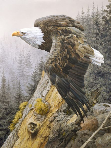 CARL BRENDERS 32X24 Secondary Market Art: "AMERICA ON RISE CNV"