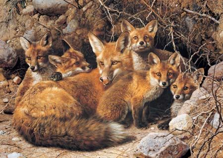 CARL BRENDERS 33X23 Secondary Market Art: "FULL HOUSE FOX FAMILY"