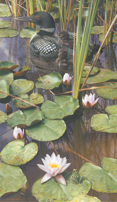 CARL BRENDERS 35X21 Secondary Market Art: "IN THE SWIM OF THINGS"