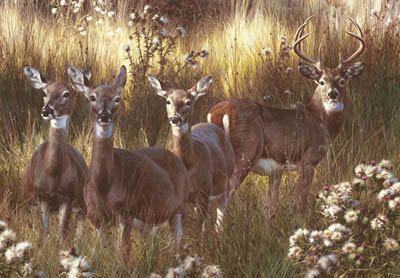 CARL BRENDERS 39X27 Secondary Market Art: "POWER & GRACE RIGCNV"