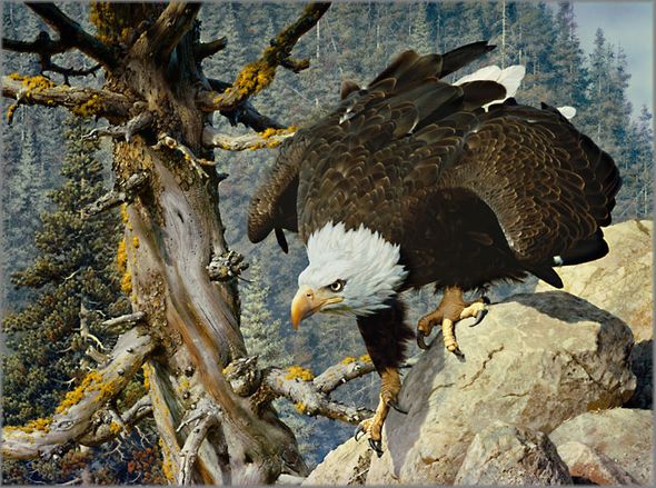 Carl Brenders Artist Hand Signed Open Edition Canvas Giclee: "Monarch is Alive, The"