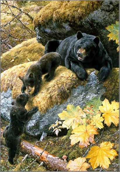 Carl Brenders Hand Signed and Numbered Limited Edition Anniversary Canvas Giclee:"Nosing Around"