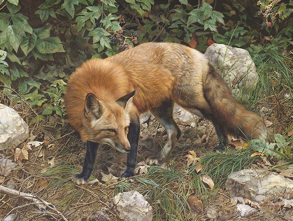 Carl Brenders Hand Signed and Numbered Limited Edition Canvas Giclee:" A Lunch Date"