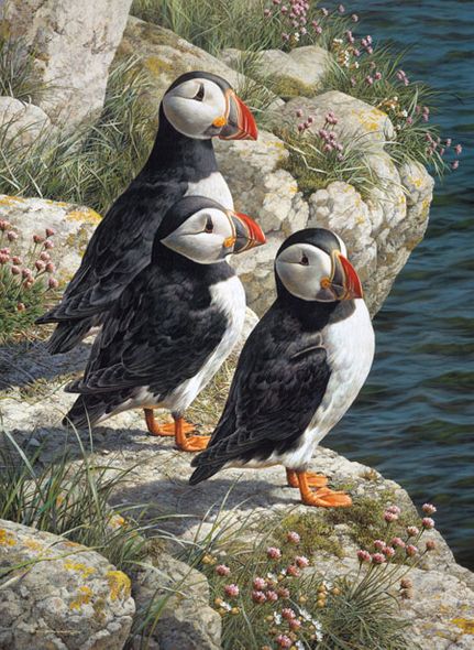 Carl Brenders Hand Signed and Numbered Limited Edition Canvas Giclee:"Fishermans Wharf - Puffins"