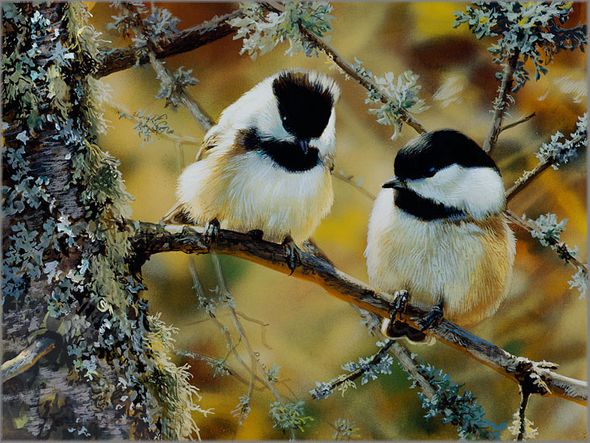 Carl Brenders Artist Hand Signed Canvas Giclee: "In the Black"