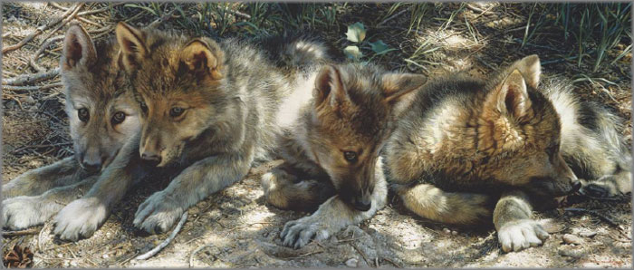 Carl Brenders Hand Signed and Numbered Limited Edition Canvas Giclee:"Pick of the Pack"