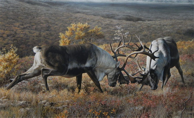 Carl Brenders Hand Signed and Numbered Limited Edition Canvas Giclee:"Tundra Challengers"