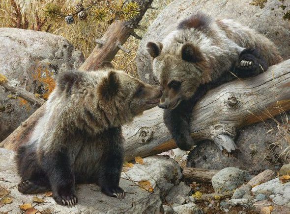 Carl Brenders Artist Signed Limited Edition Giclee:"Alaska Chat"