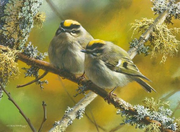Carl Brenders Hand Signed and Numbered Limited Edition Print:"Crowning Glory"