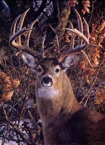 Carl Brenders Handsigned and Numbered Limited Edition Giclee on Canvas: "Autumn Gentleman"