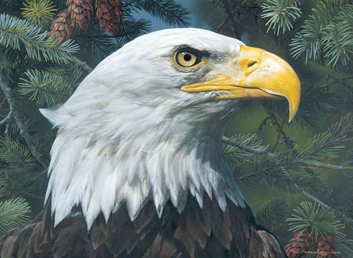 Carl Brenders Artist Signed Limited Edition Canvas Giclee: "Fir and Feathers"