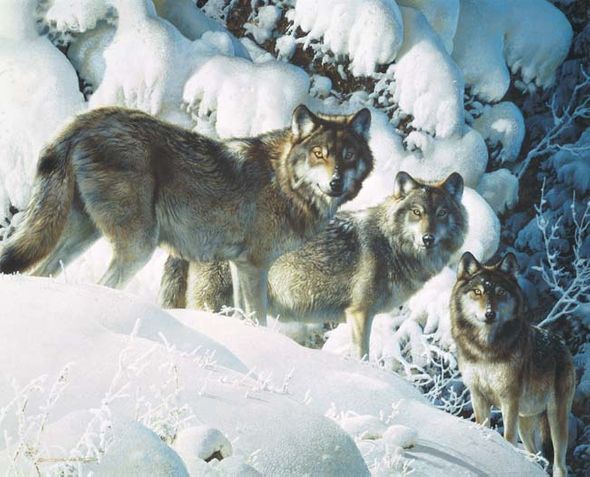 Carl Brenders Handsigned and Numbered Limited Edition Renaissance Giclee on Canvas:" Long-Distance Hunters"
