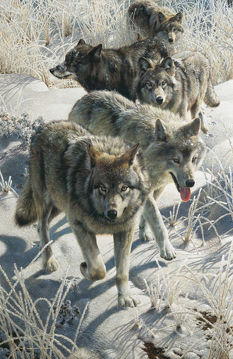 Carl Brenders Artist Signed Limited Edition Print: "Miles To Go - Wolves"