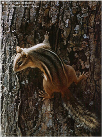 Carl Brenders Limited Edition Print:"Narrow Escape"