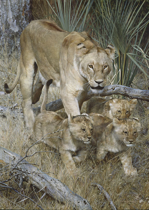 Carl Brenders Artist Signed Limited Edition Print:"On A Journey"