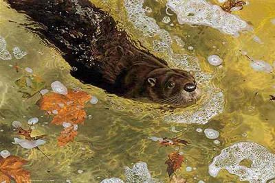 Carl Brenders Limited Edition Print: "On A Mission"