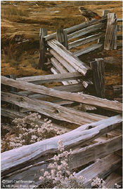 Carl Brenders Limited Edition Print:"The Balance Of Nature"
