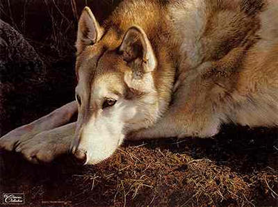Carl Brenders Limited Edition Print: "The Loner"