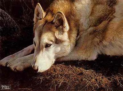Carl Brenders Limited Edition Print: "The Loner"