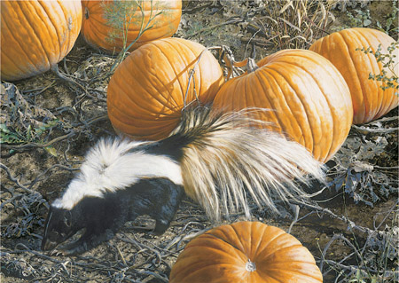 Carl Brenders Limited Edition Print:"Trick Or Treat"