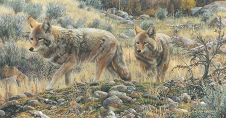 Carl Brenders Limited Edition Print:"Two Amigos"