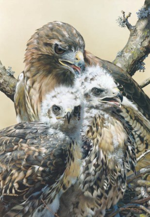 CARL BRENDERS  Secondary Market Art: "WISDOM & INNOCENCE"