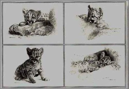 Carl Brenders Signed and Numbered Limited Edition Lithograph: "Rocky Camp Cubs" Carl Brenders Signed and Numbered Limited Edition Lithograph: "Rocky Camp Cubs"