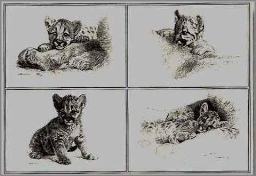 Carl Brenders Signed and Numbered Limited Edition Lithograph: "Rocky Camp Cubs"